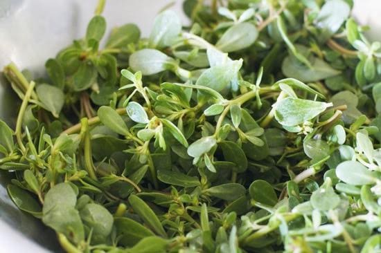 PERPETOYUN SUZMƏ İLƏ